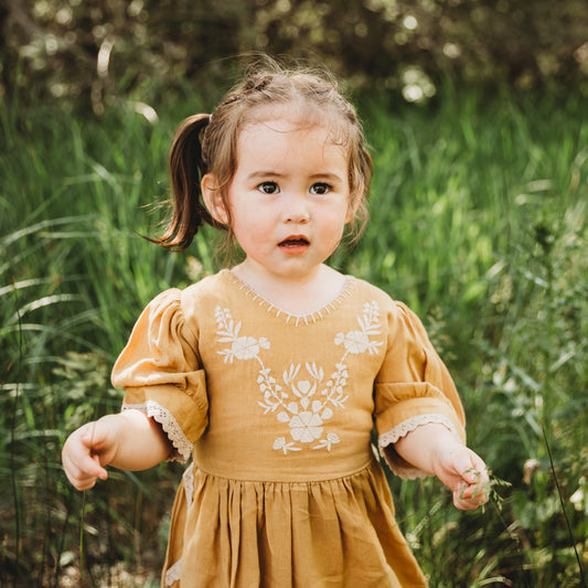 Embroidered yoke with Puff Sleeves